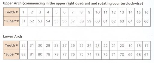 Tooth Table Number