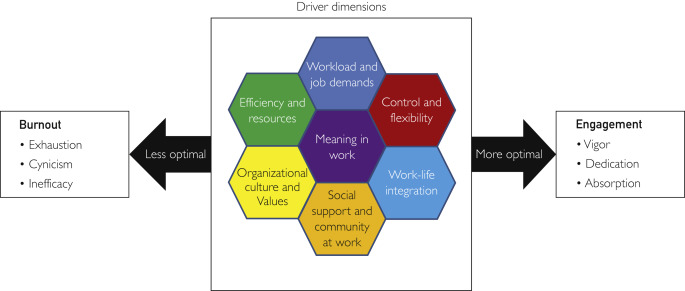 Mayo Clinic's key drivers of burnout and engagement in physicians