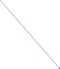 Shape18